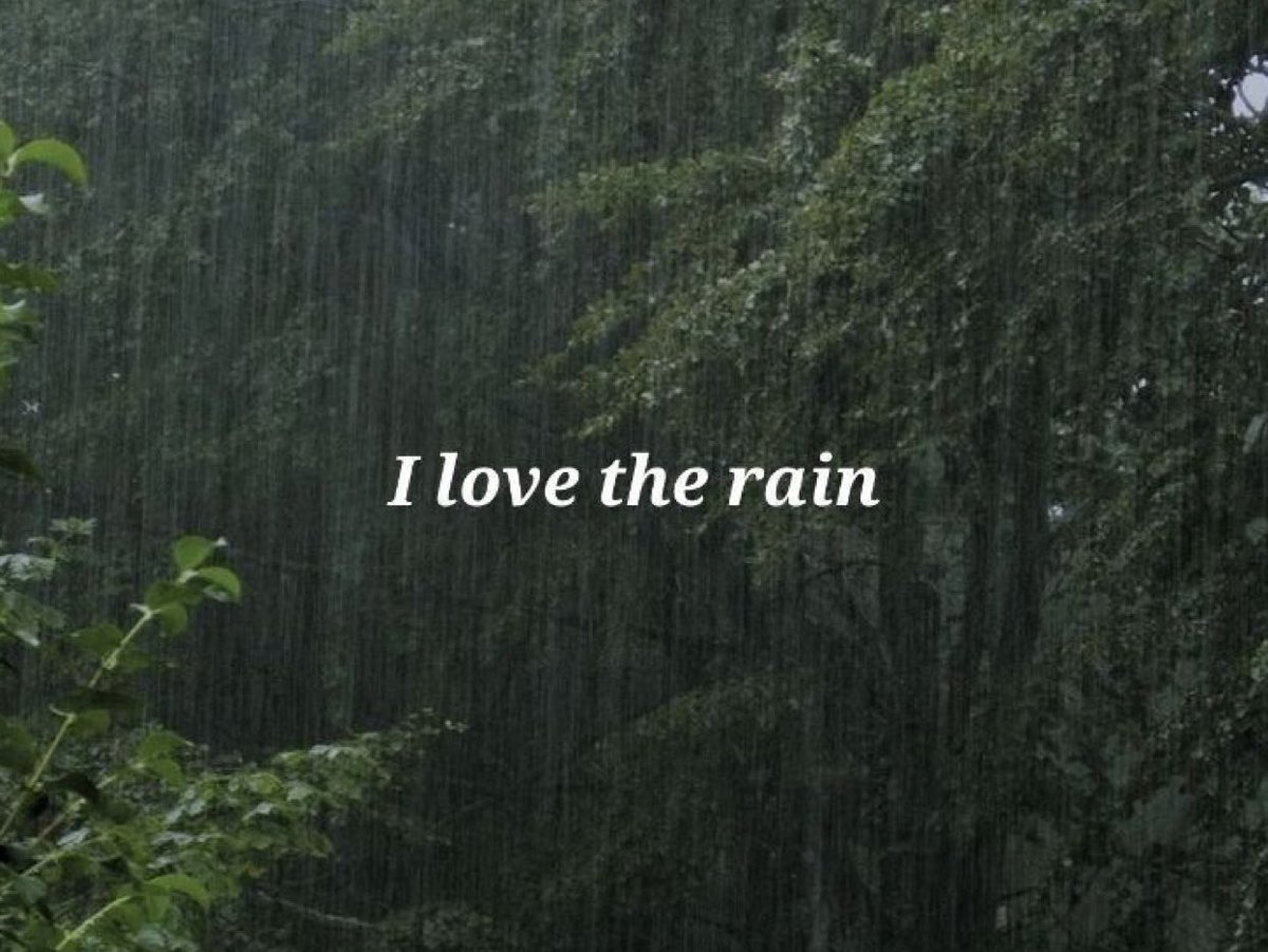 thespookygirll's tweet photo. how can you not love the rain?? https://t.co/CLZYrFrUY3
