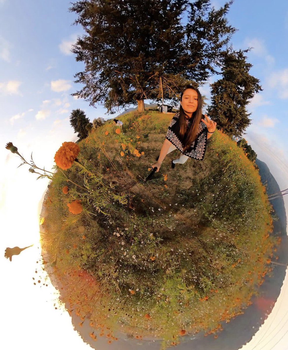 r64f9jwjdr's tweet image. Remanentes #gopro
#gopromaxpanoramic #gopromax_
#gopromax360 #donatoguerra #picoftheday
#cempasúchil