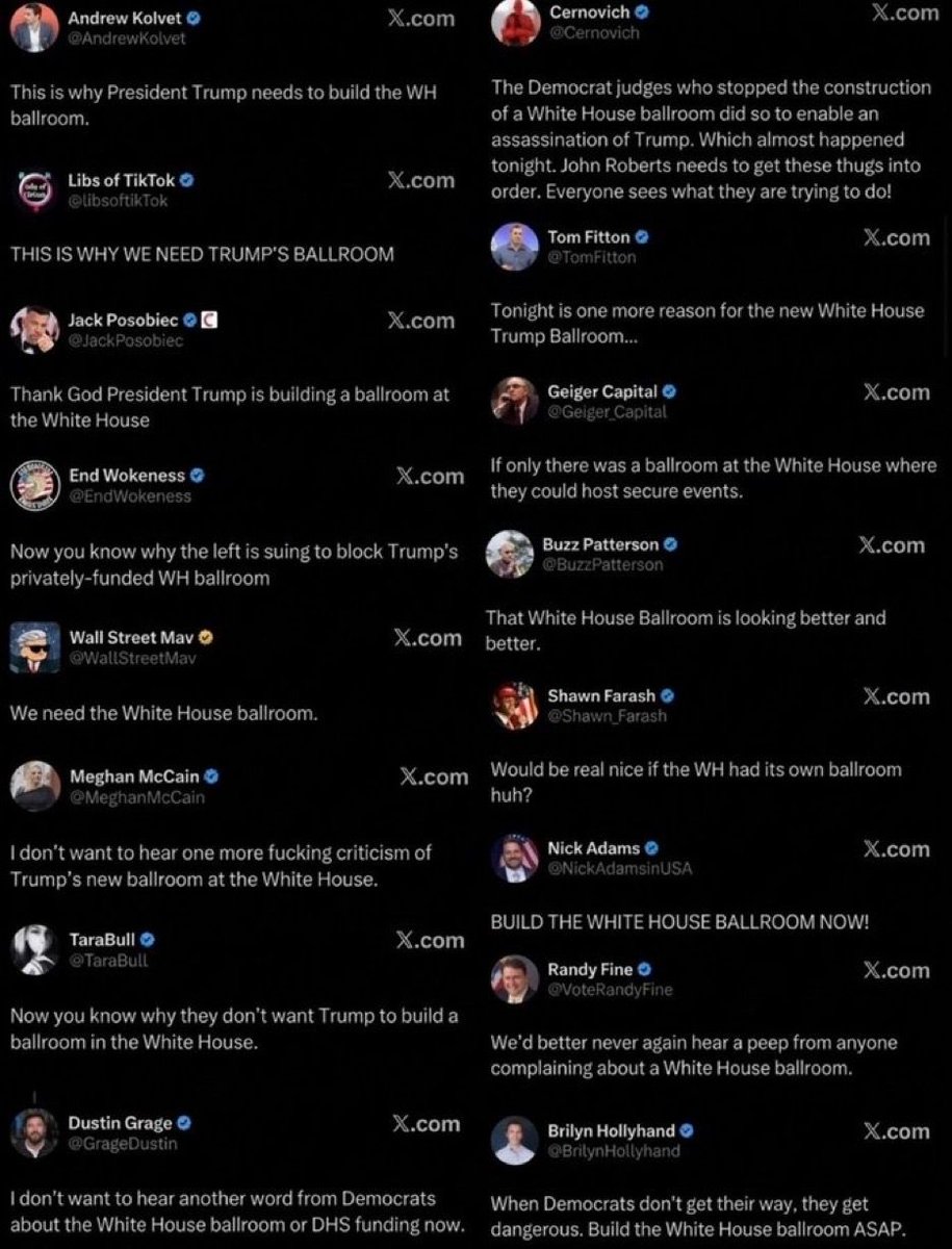 Mike's Tweets 🐾🇺🇸🌻🇺🇦🐾 tweet media