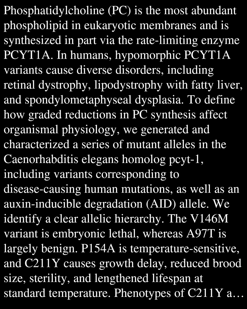 Cell Behavior Papers tweet media
