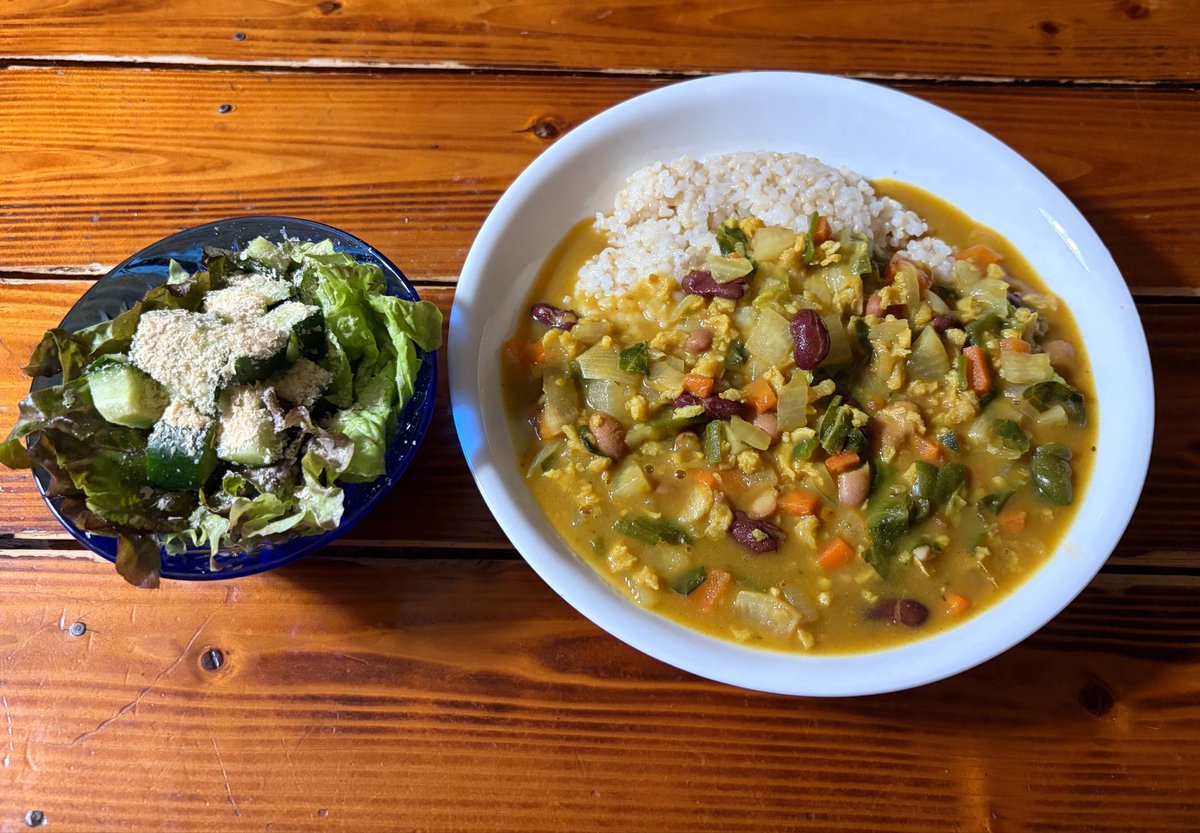 vegelovecat's tweet image. おはよー
一緒に寝てたミズさんモゾモゾ起き出したから天気見たら4時過ぎから雨今やんでるじゃん！ガバっと起きて支度3:20出発 歩いてこれてよかった🐕
昨夜は2人で手抜きカレーにしたら父ちゃん気持ち悪くて飯いらんと😵 あたしだけなら火使わんかったのに😞
 #vegan #ヴィーガン #保護犬を家族に