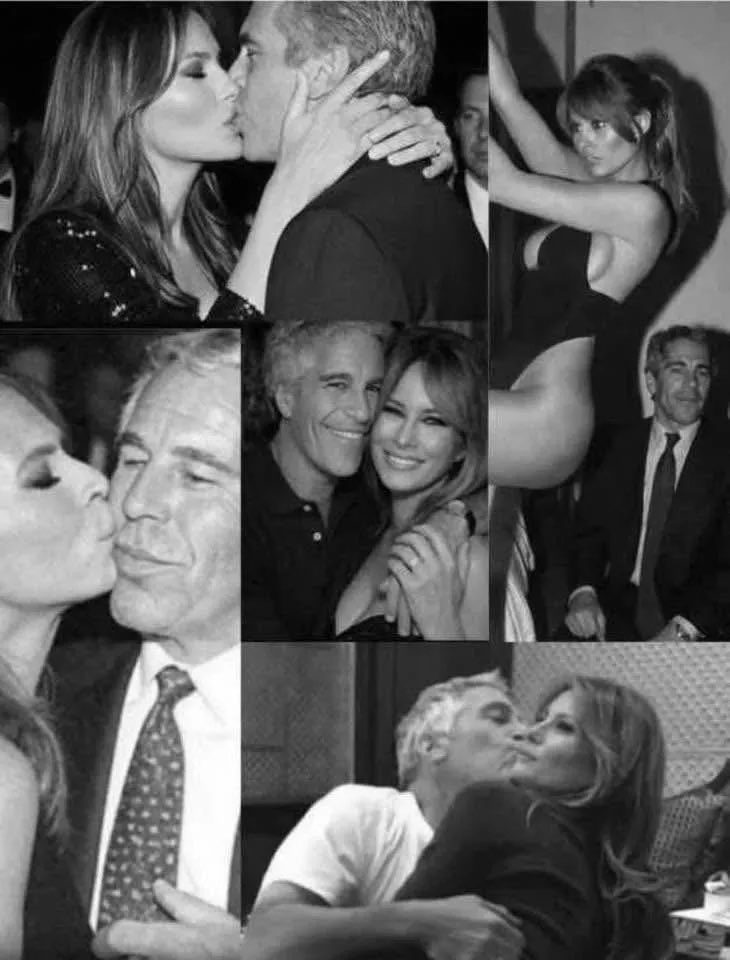 StevieGeee🌊🎨🐶🚘🍫🎼💐🏳️‍🌈 tweet media