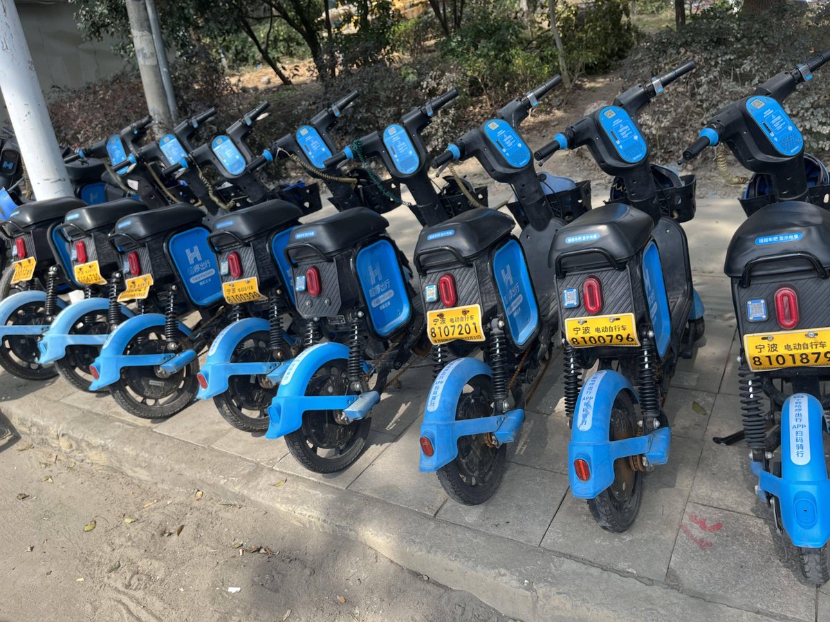 sheldon taylor tweet media