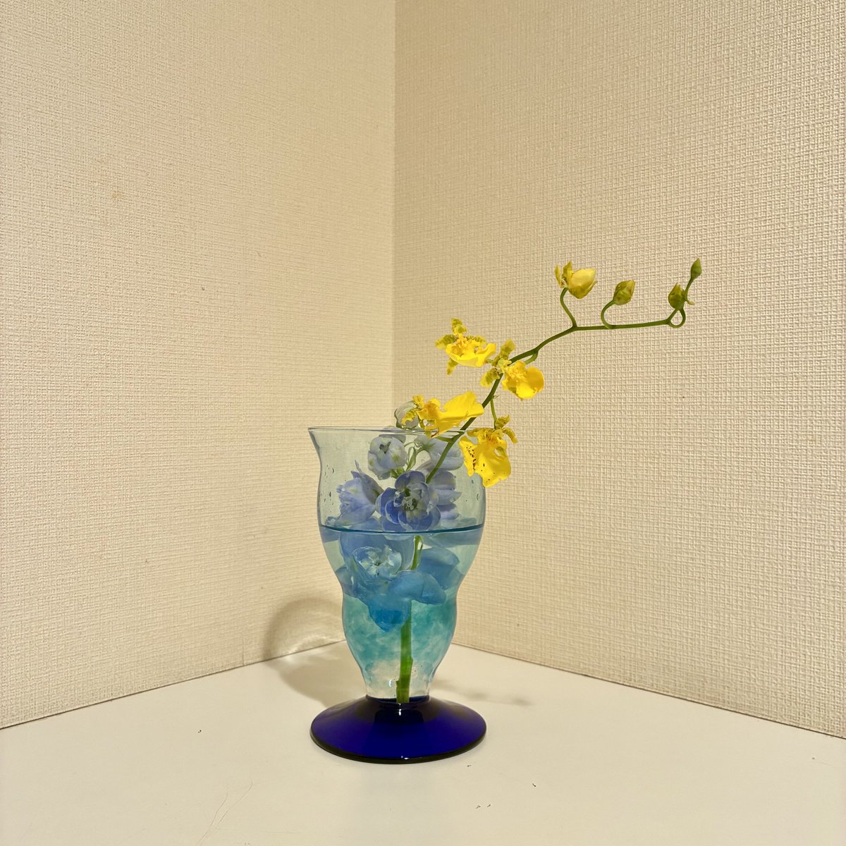 suppermoon2016's tweet image. おはようございます
月曜日です
雨がしっかり降っています
冷たい雨です
昼頃にはやむようです

#flowerstagram #flowers #花のある暮らし #SMAP #私の_世界に一つだけの花