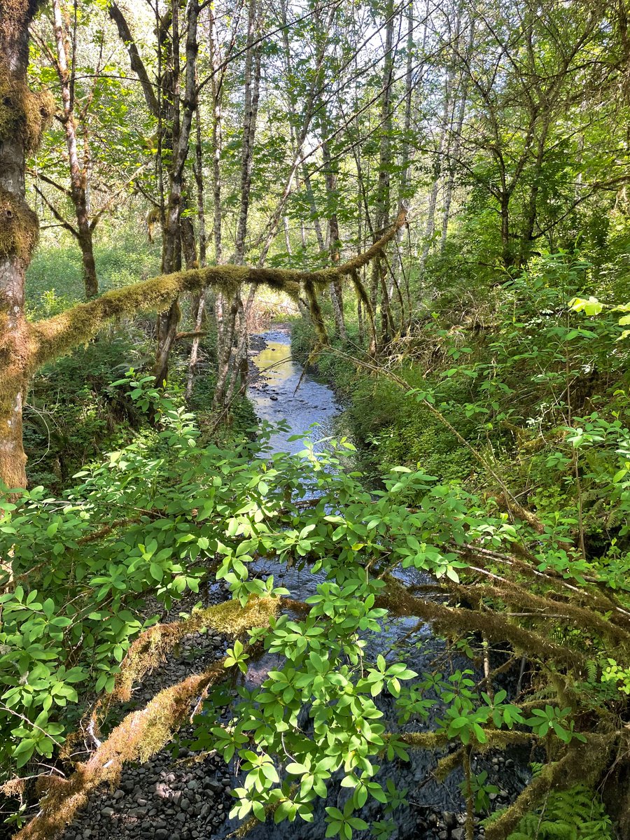 Magdalena🌲 tweet media