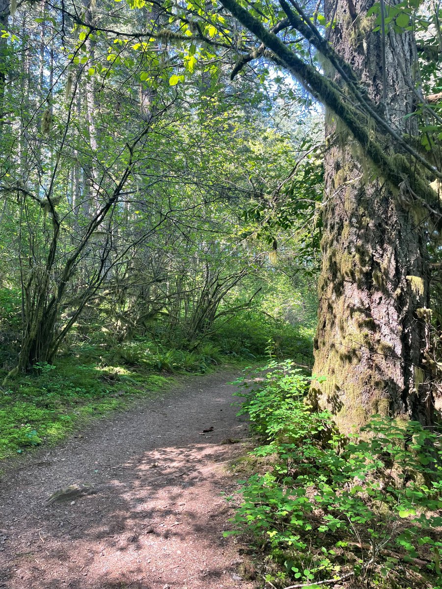 Magdalena🌲 tweet media