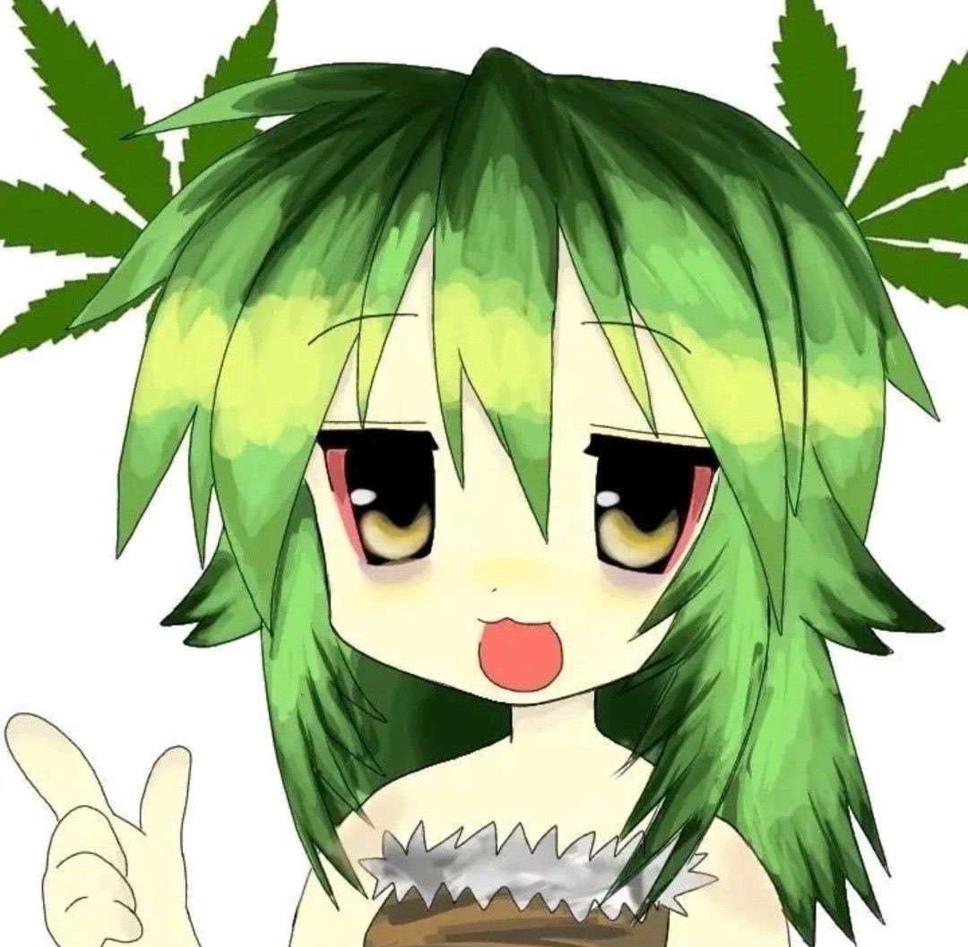 Fennec 🪽🐈‍⬛ (edtwt) tweet media