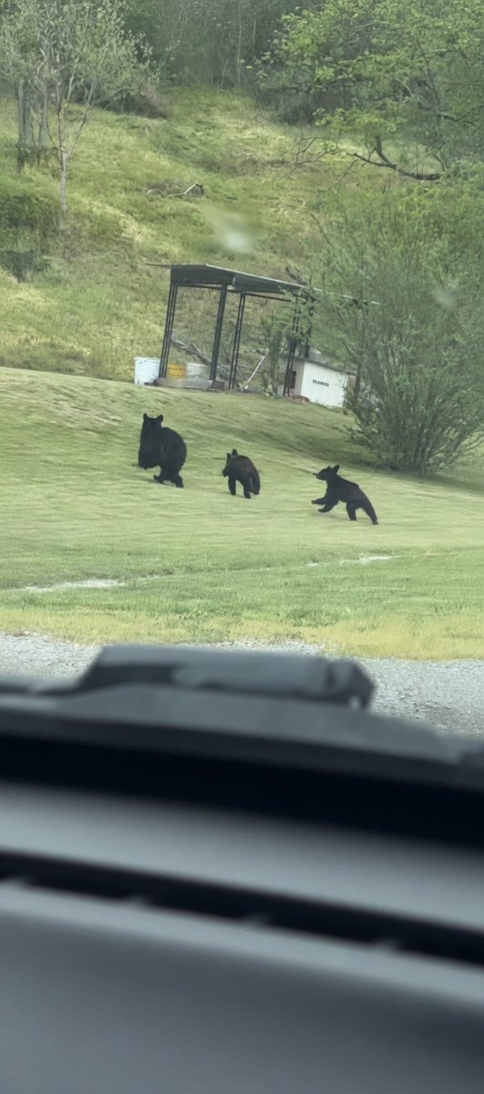 Guissepie tweet media