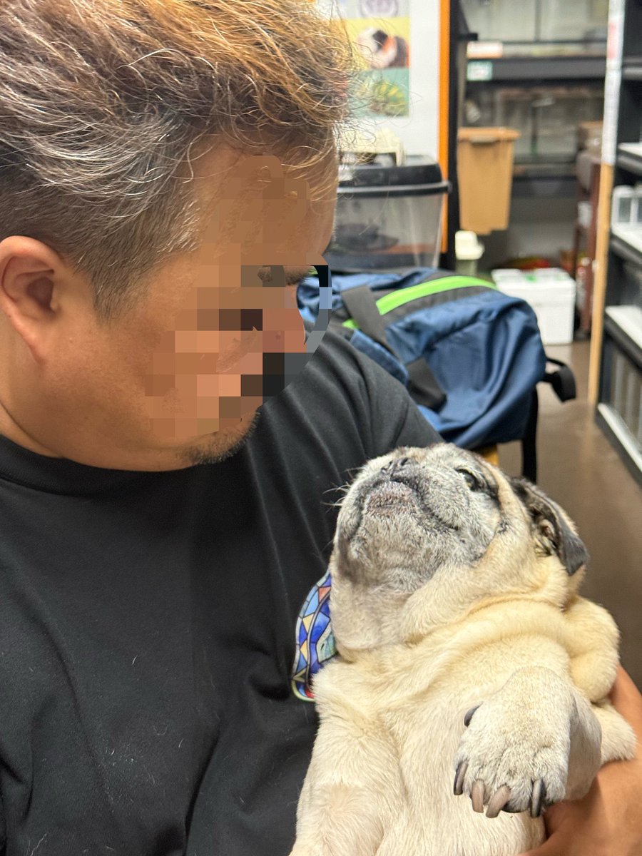 ロンちゃん、幸せそう😌
オーナーが出張から帰りました