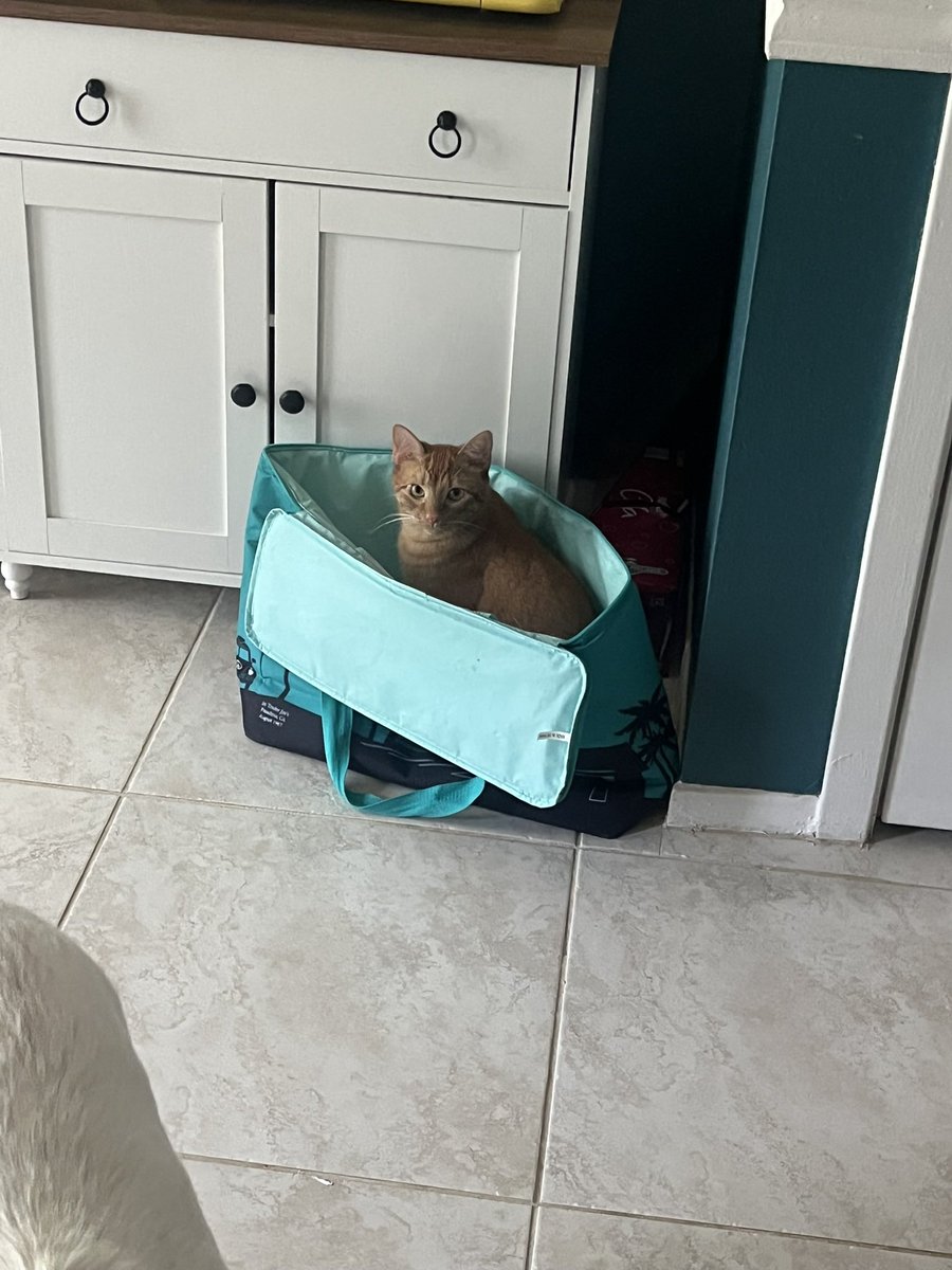 leon kennedy: eastern european gay porn edition tweet media