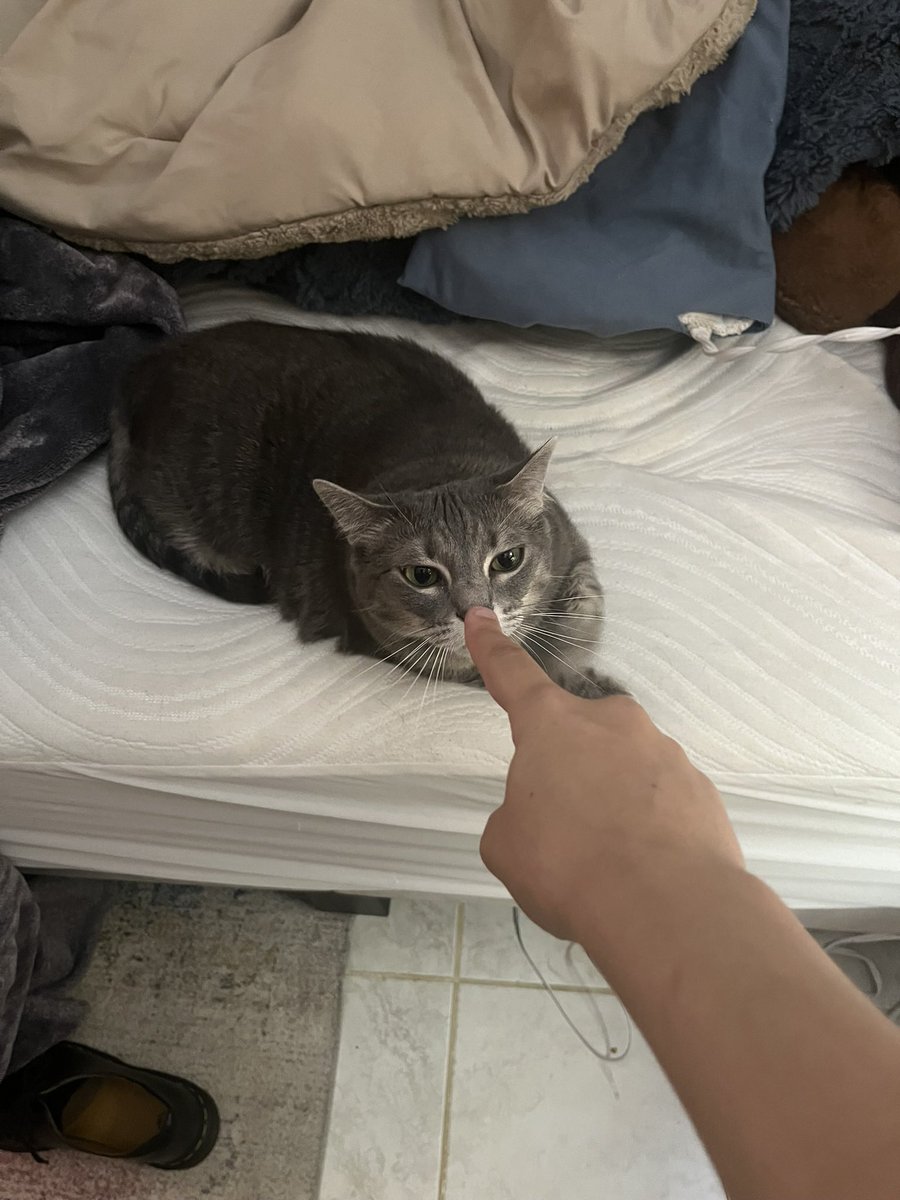 leon kennedy: eastern european gay porn edition tweet media