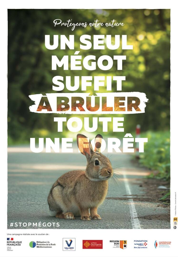 FDF83VAR's tweet photo. 🌿 Un seul mégot peut détruire des hectares, mettre en danger animaux, maisons et pompiers.  
En voiture, balade ou pause, ne jetez jamais cigarette par terre ou par la fenêtre; même éteinte, elle peut reprendre feu avec chaleur et vent.  
Été = incendie par inattention.

✅ Ce… https://t.co/nq7jzKovsx