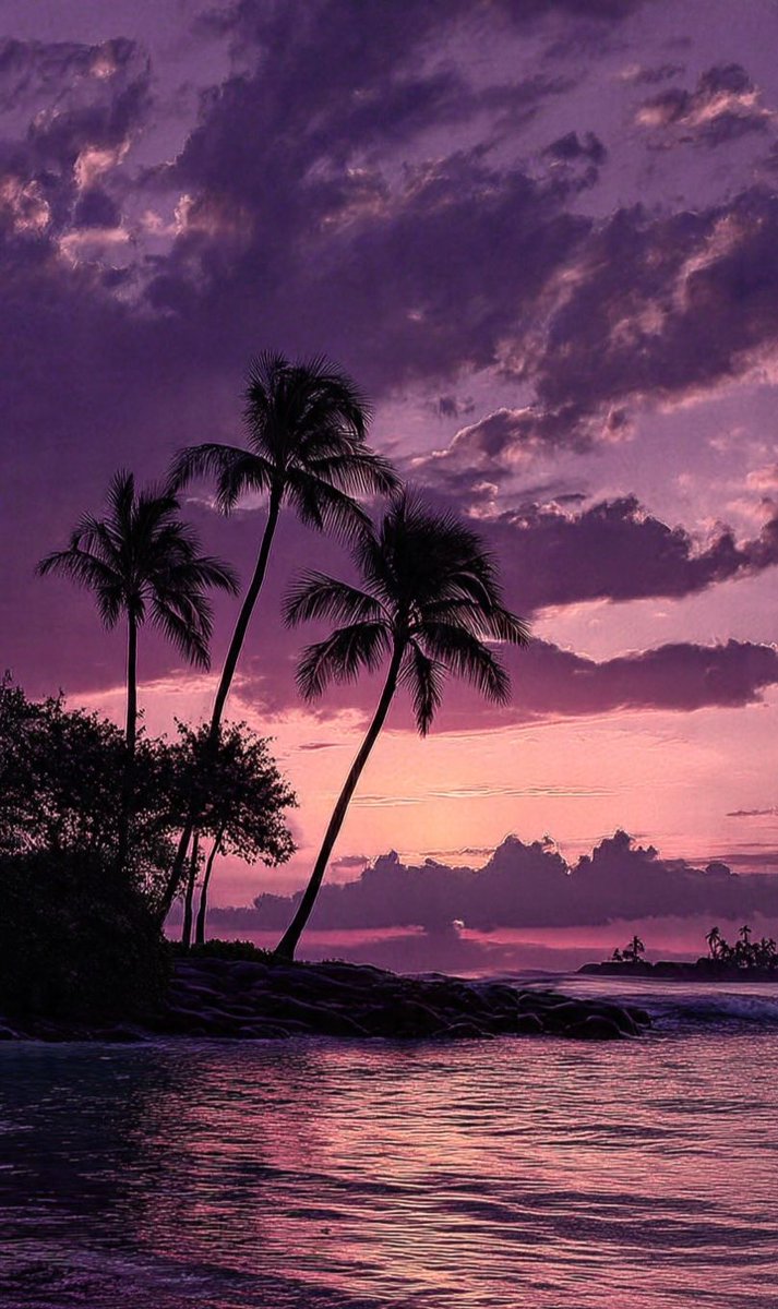 Sergio A. Arvizu tweet media