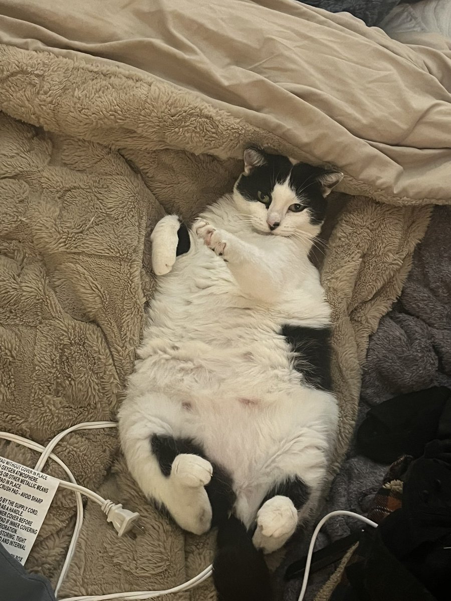 leon kennedy: eastern european gay porn edition tweet media