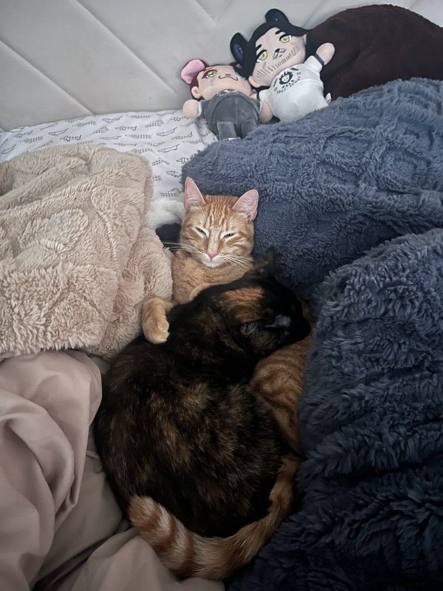 leon kennedy: eastern european gay porn edition tweet media