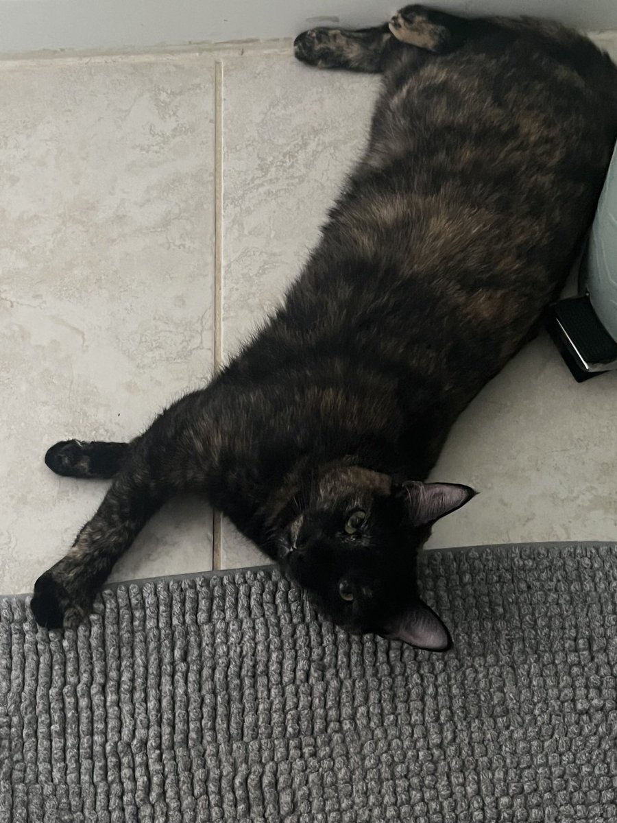 leon kennedy: eastern european gay porn edition tweet media