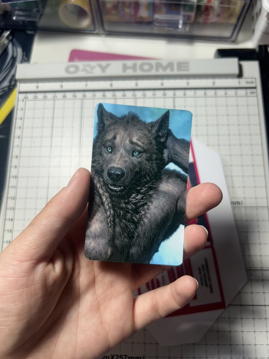 ariraninha 🪭 tweet media