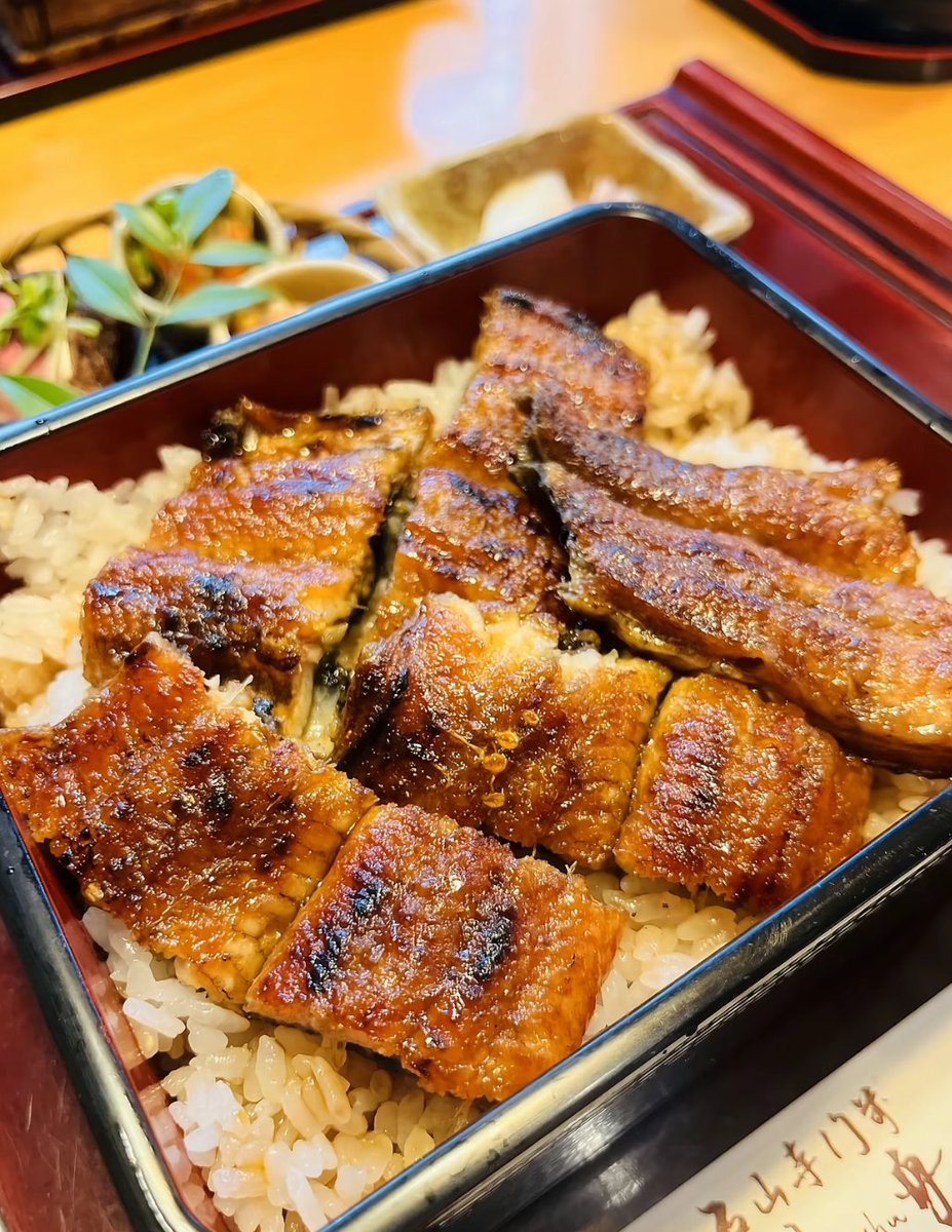 VECTOR(ベクトル) tweet media