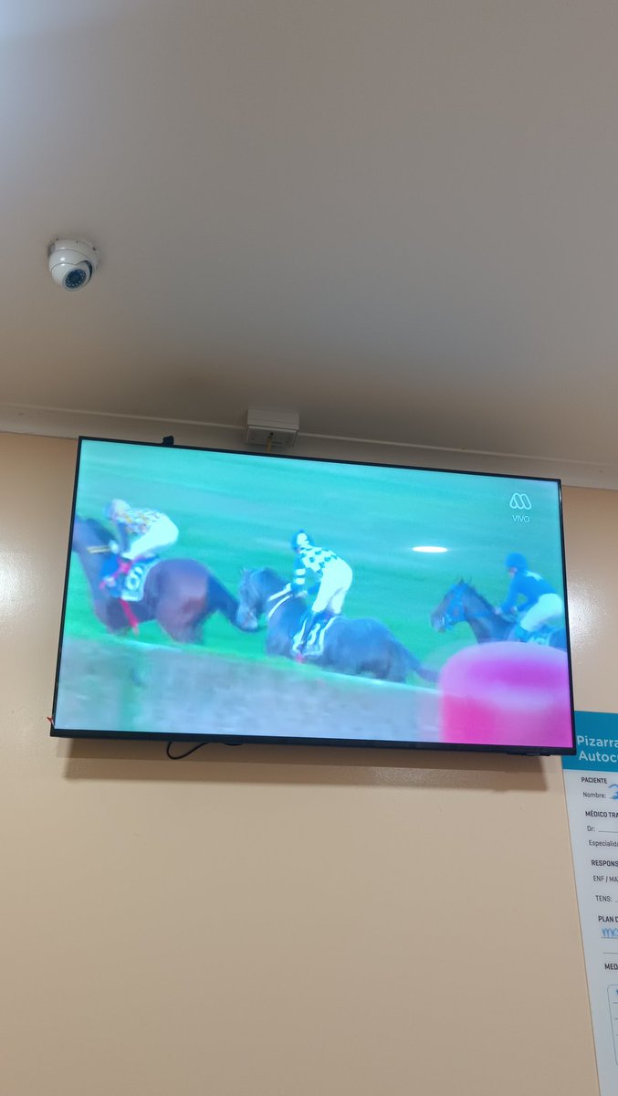 𓆩♡𓆪「𝐂𝐚t 𝐊𝐫𝐮𝐦𝐦𝐞𝐥」𓆩♡𓆪 tweet media