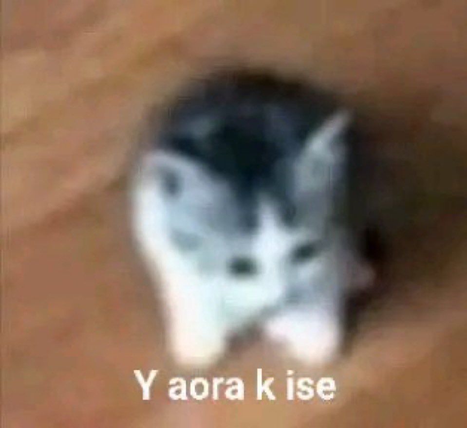 𝑐𝑙𝑎𝑟ijosdeputaganen🐦‍⬛ tweet media