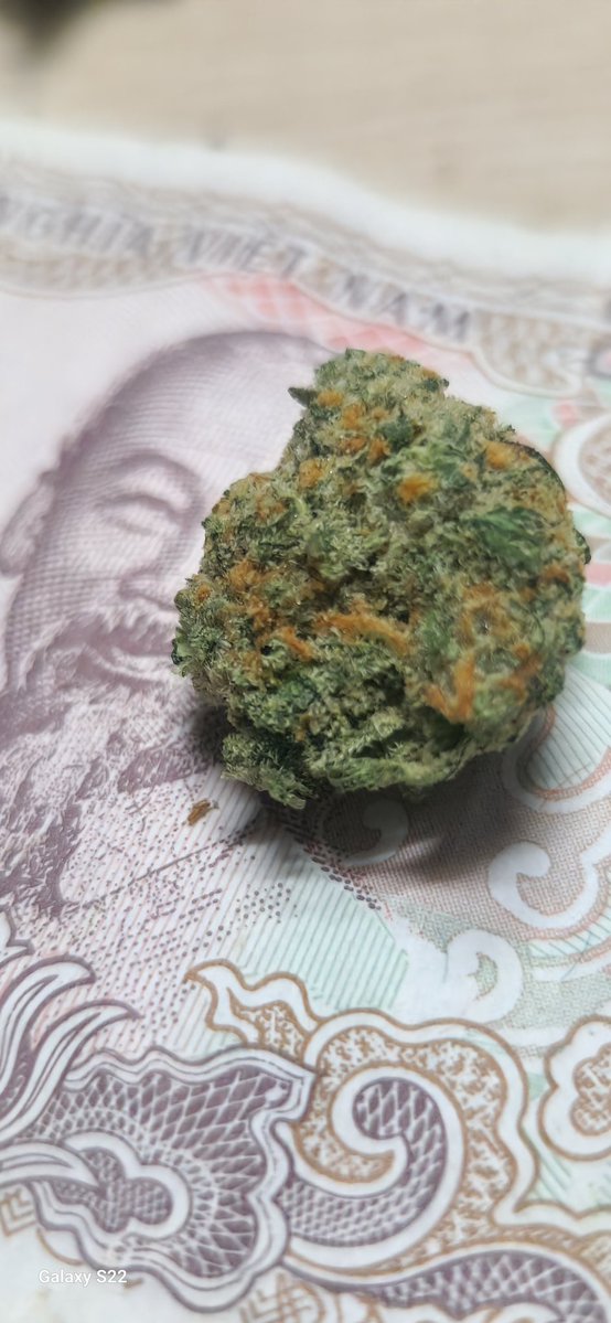 laplandweed's tweet image. #weed