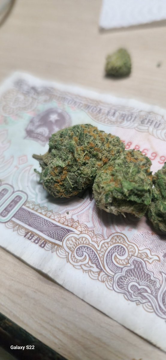 laplandweed's tweet image. #weed