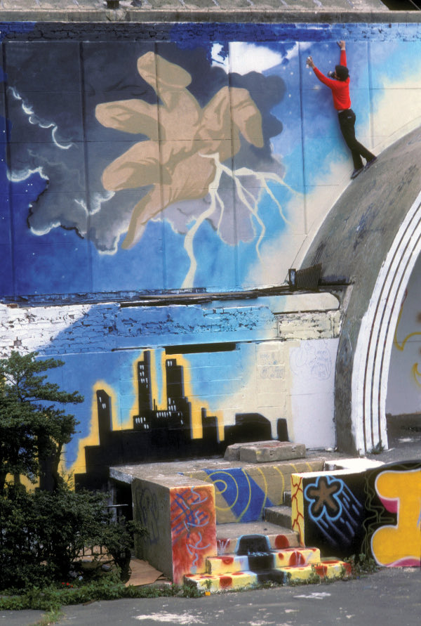 Sweet William tweet media