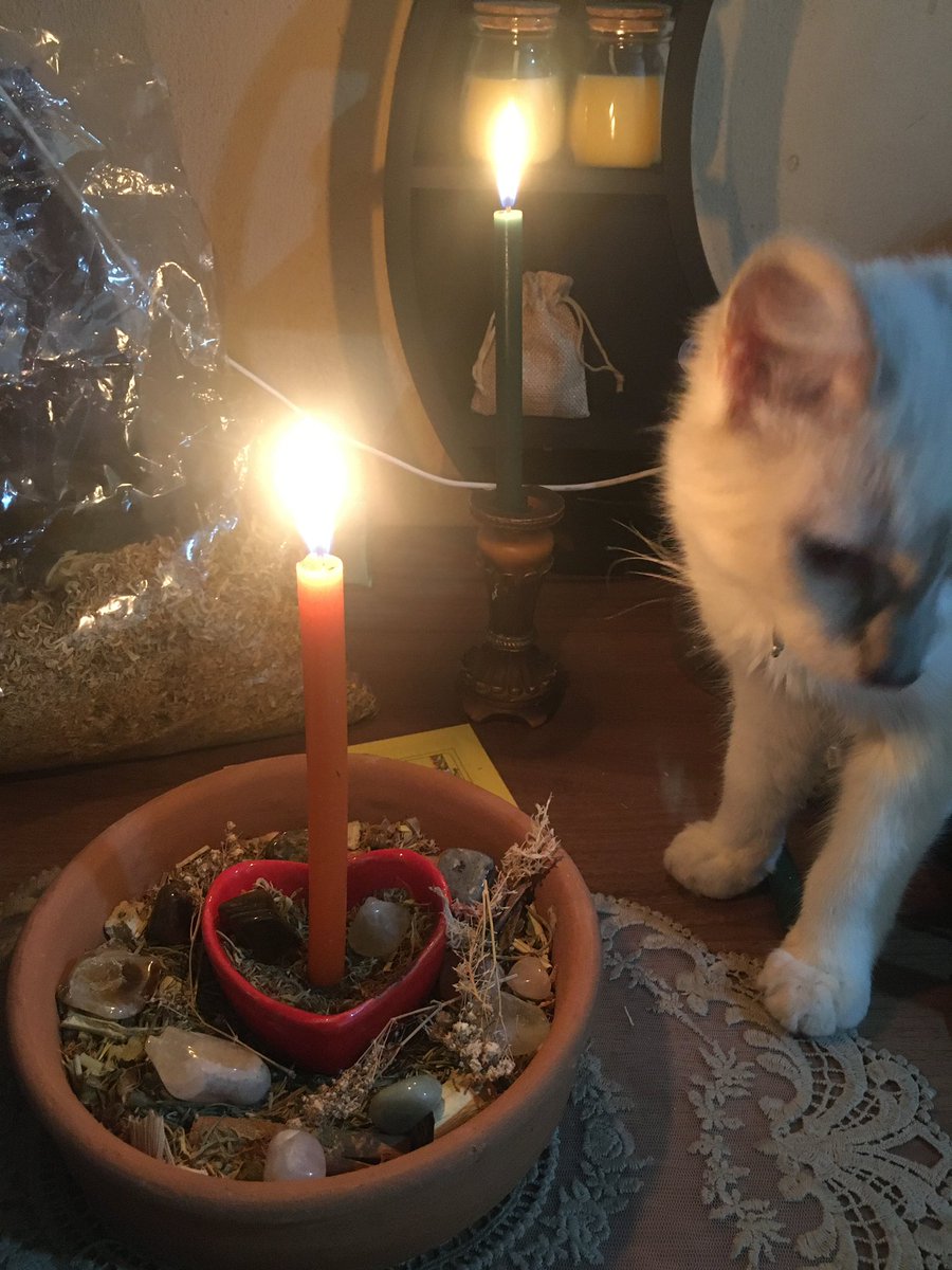 Lois taróloga tweet media