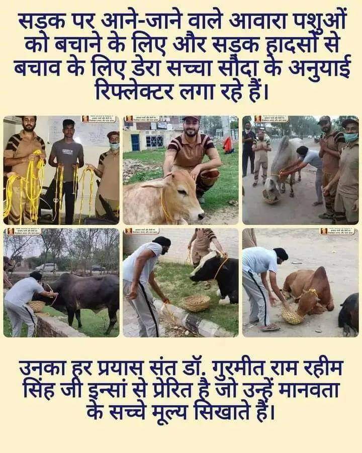 #AnimalWelfare 🐾
बेजुबान जानवरों की सेवा करना ही सच्ची इंसानियत है।
उनके लिए पानी, भोजन और प्यार देना हमारा फर्ज़ है।
आइए मिलकर करें एक नेक पहल –
👉 घायल जानवरों की मदद करें
👉 पक्षियों के लिए दाना-पानी रखें
👉 पशुओं के साथ दया और करुणा से पेश आएं!
Saint Gurmeet Ram Rahim Ji'