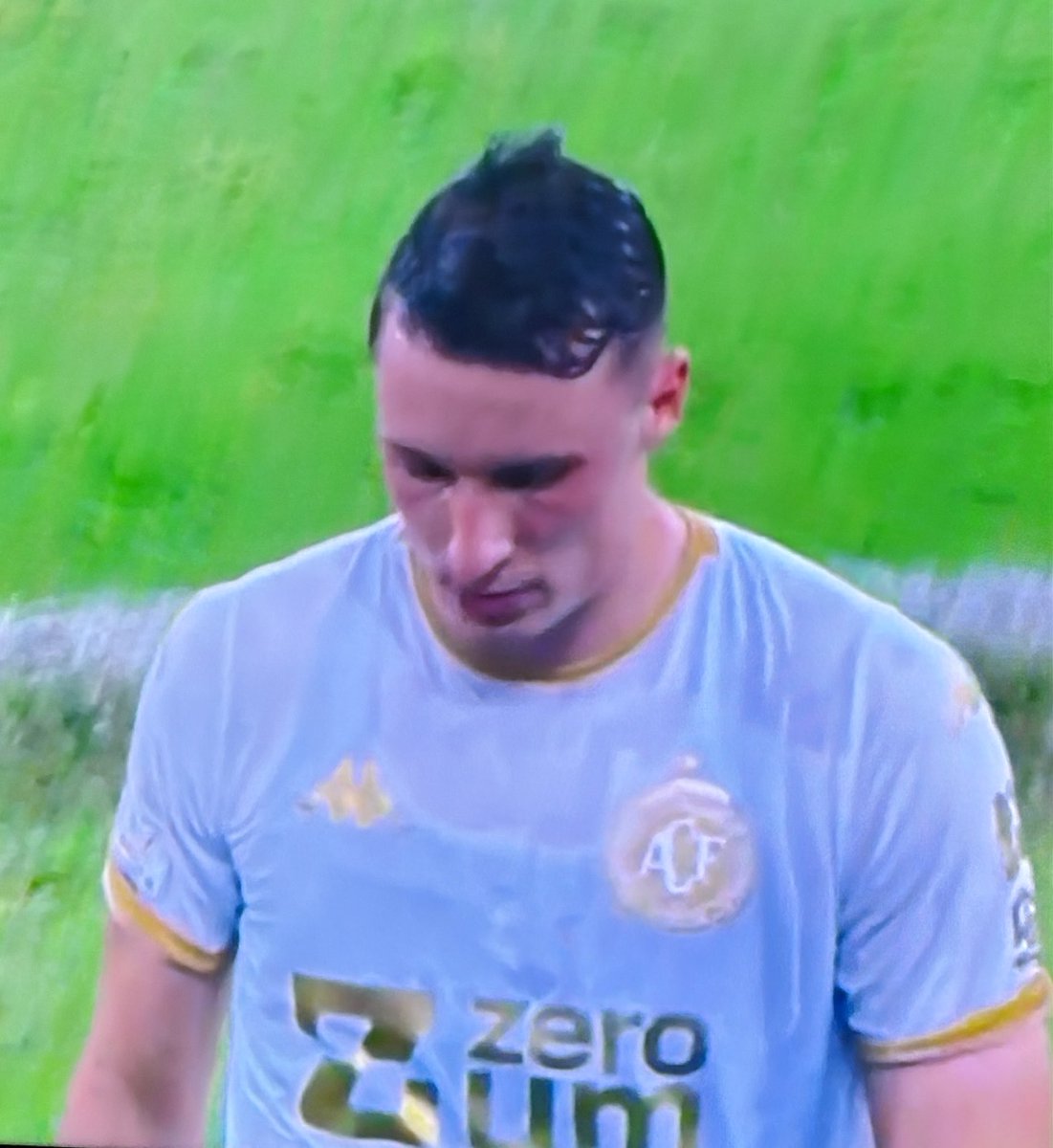 LEONARDO TIPSTER tweet media