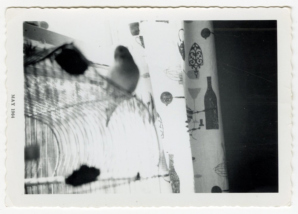 @Movie-Frames tweet media