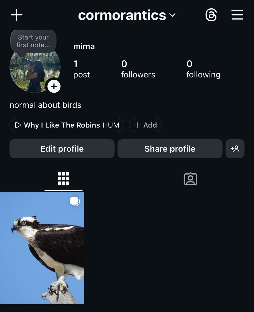 mima 𓅰 tweet media