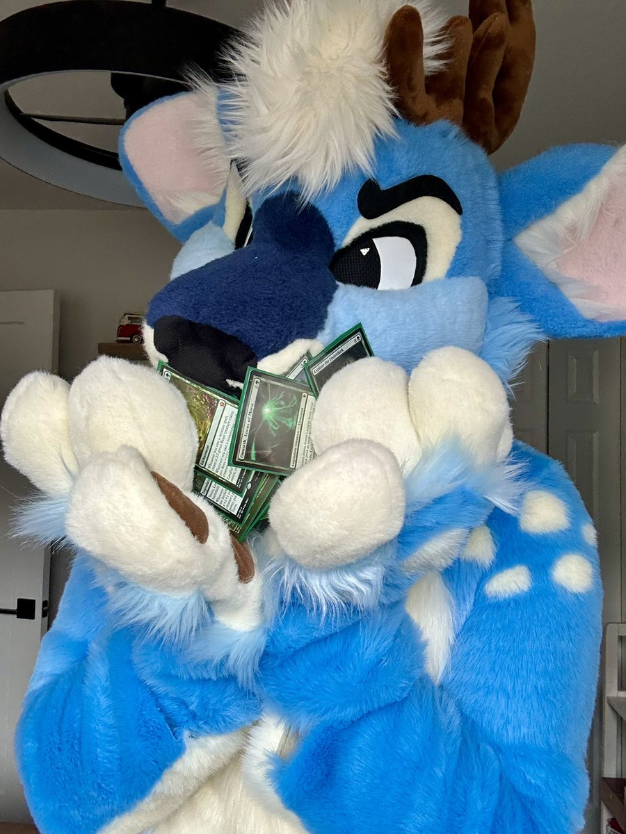 BLUEBERRY 🔜 MEGAPLEX tweet media