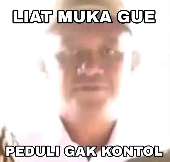 P E R N I D A tweet media