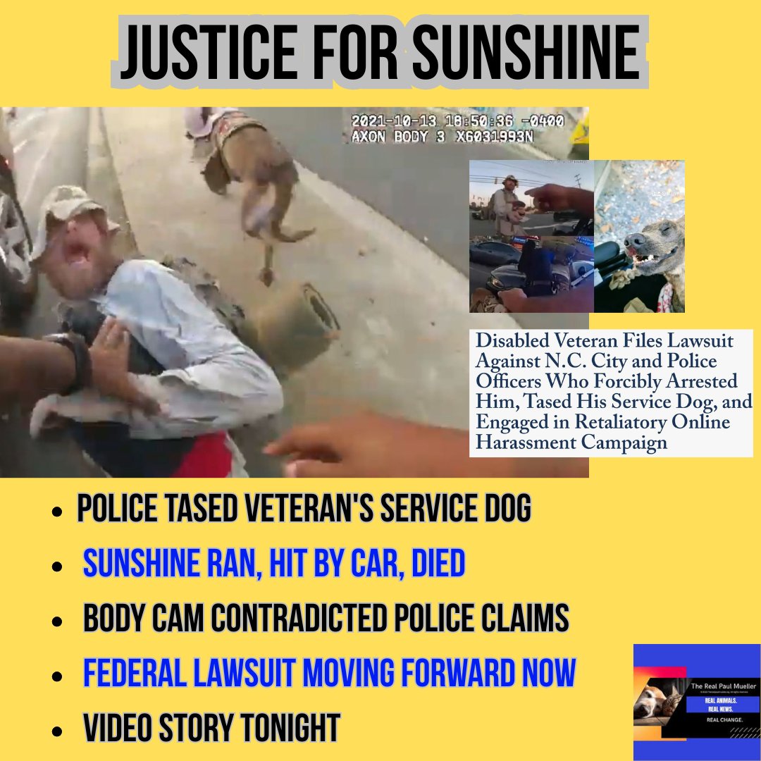 RealPaulMueller's tweet image. A Disabled Veteran Is Fighting Back. And Even After 5 Years, He's Not Giving Up.
Gastonia, North Carolina -  Army veteran Joshua Rohrer is in federal court right now fighting for justice for Sunshine, his service dog who was reportedly tased by police during his 2021 arrest for