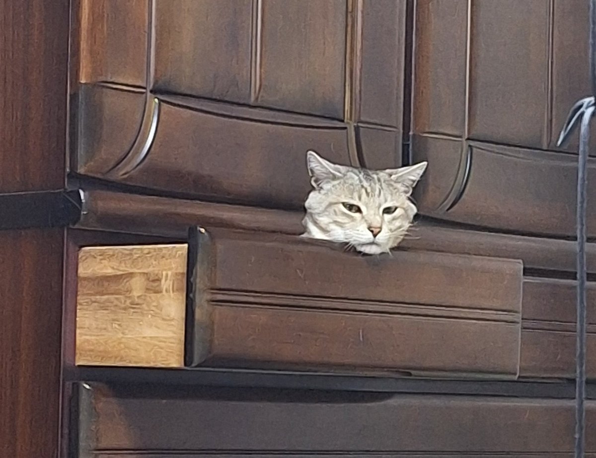 コテ母 tweet media