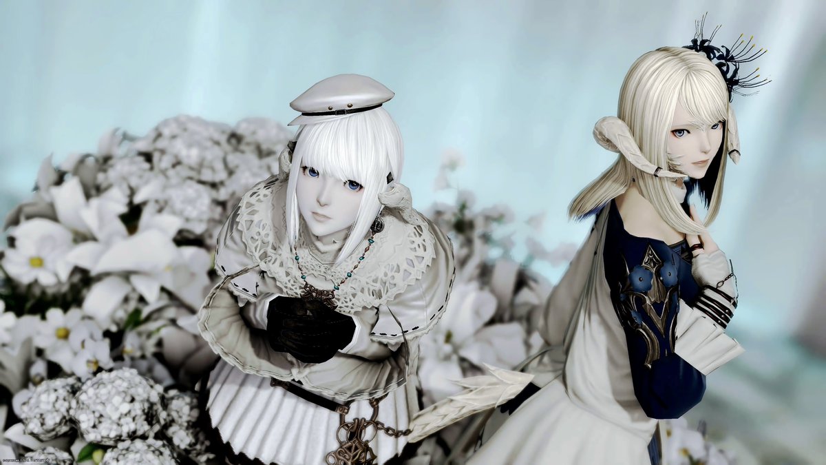 Co & Anny tweet media