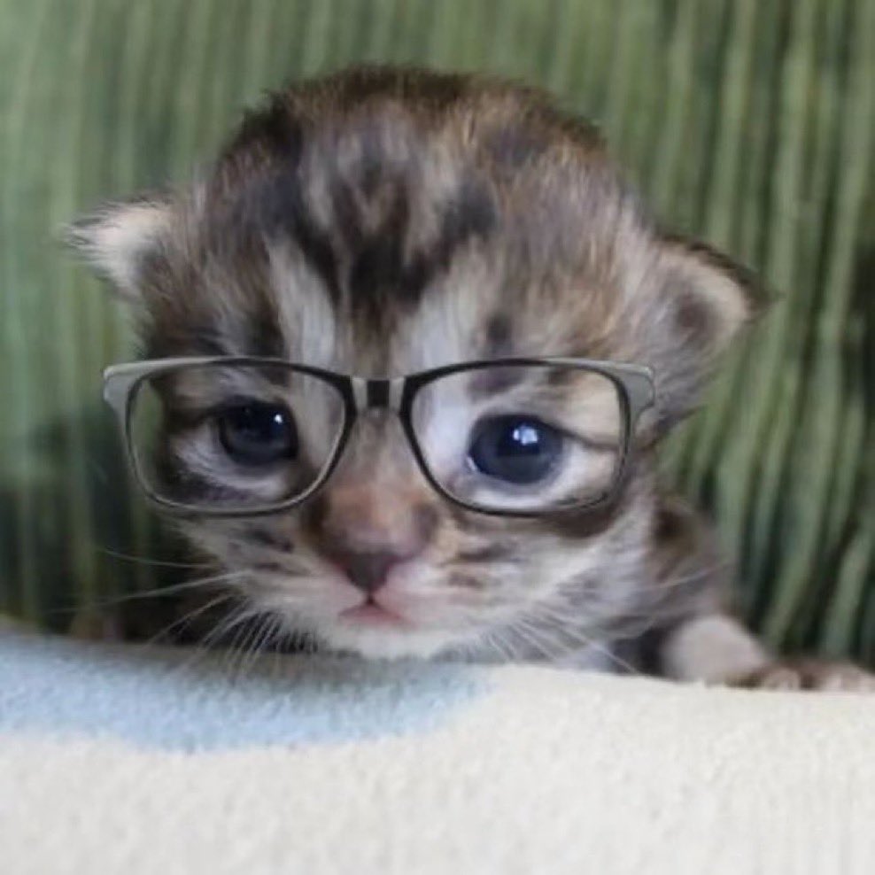 jheneffer. tweet media