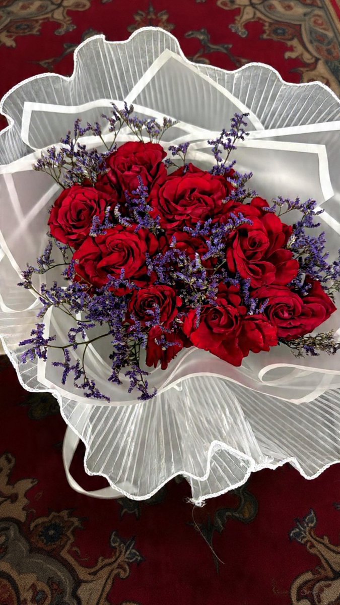 سُول. tweet media