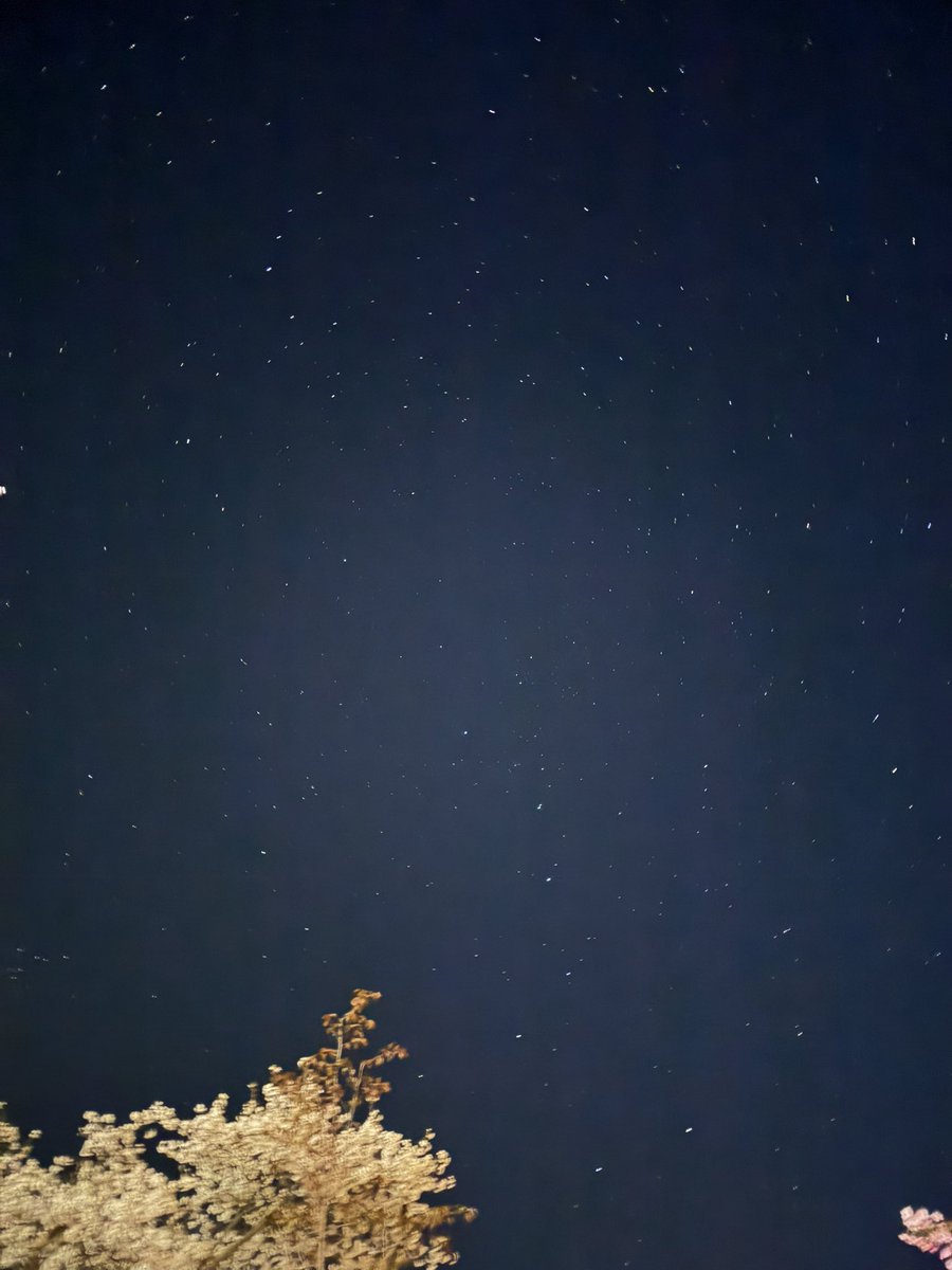 umi__cosmetics's tweet photo. カメラに映るほどの
満点の星空が綺麗で綺麗で仕方なくて
もっと日本の星空をたくさん見たいなと思った🌌
これは蔵王の星空🌠

でも山登るのはちょっと…🥹なので
山登りしなくても見れる満天の星空を知りたいです🥹笑 https://t.co/majUOAeyNy