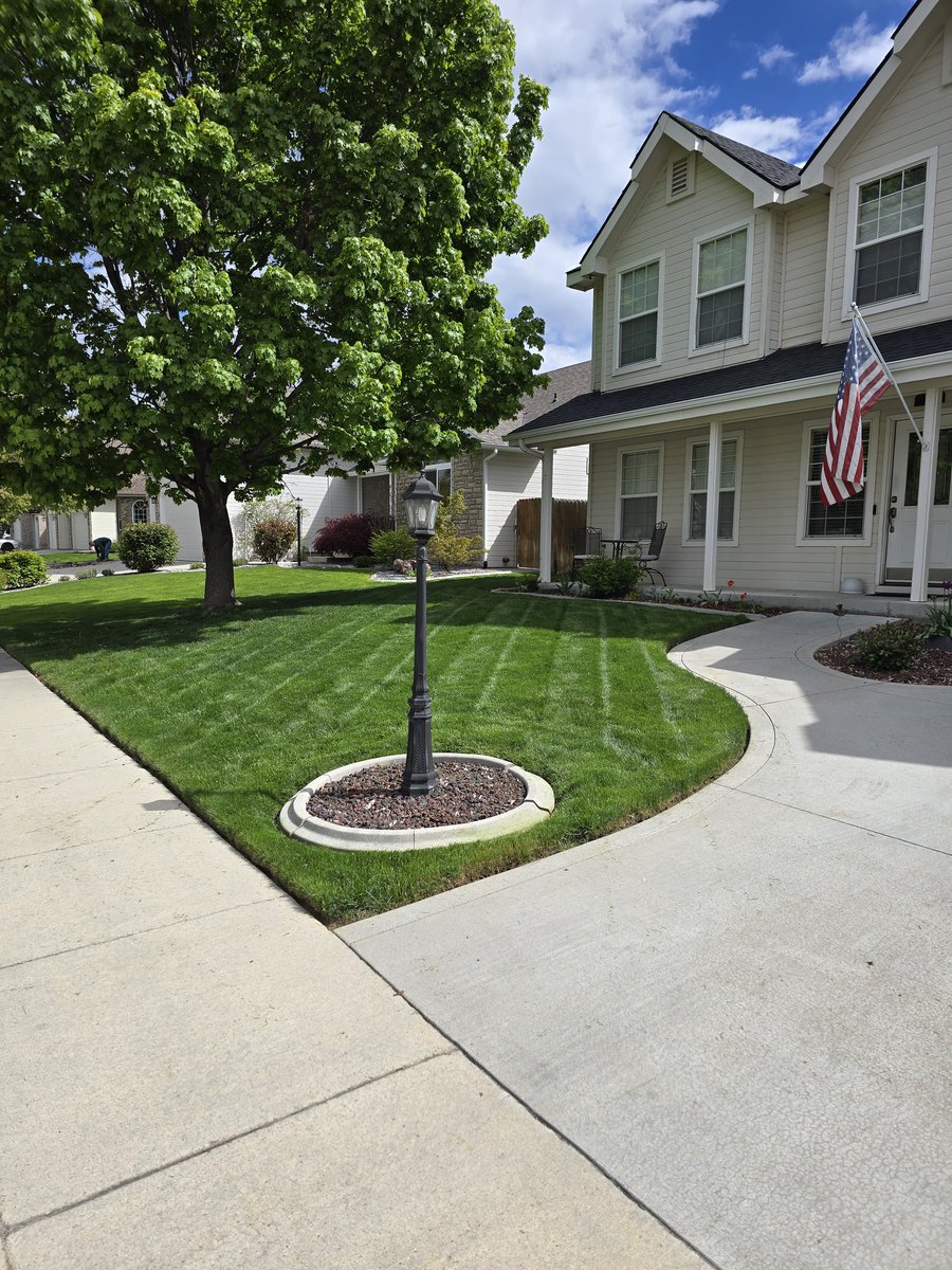 The Todd #DC4L ✭ tweet media