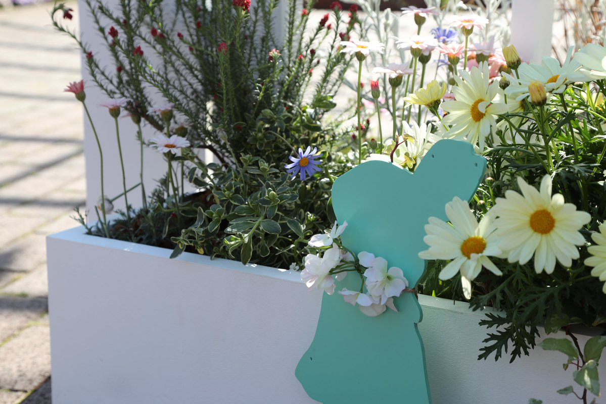 CDI881's tweet image. イースターウサギさん🐰

#横浜イングリッシュガーデン
#スプリングフェスティバル
#Easter
#イースター