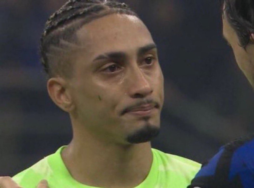 Bellonia tweet media