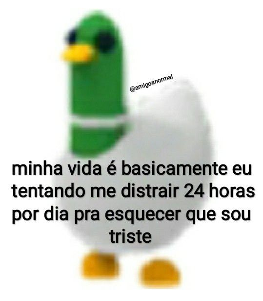 teu caos tweet media