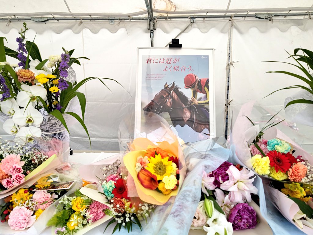 Stay Dream tweet media