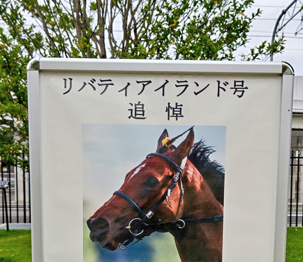 Stay Dream tweet media