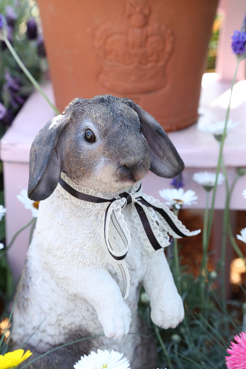 CDI881's tweet image. 浮かれるウサギ🐰

#横浜イングリッシュガーデン
#スプリングフェスティバル
#Easter