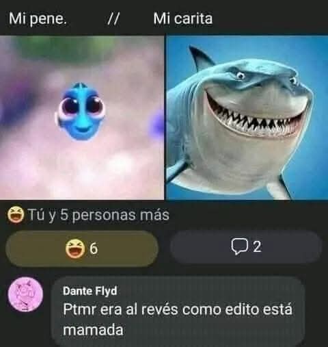 Alejo tweet media