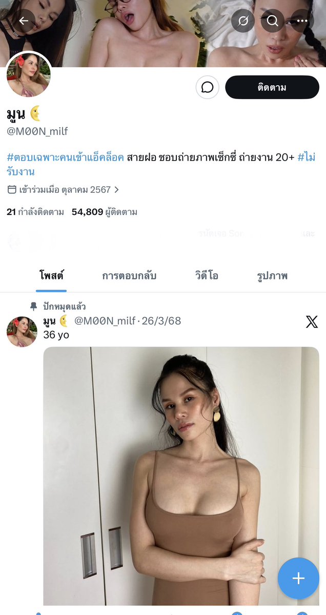 VortexRealm26 tweet media