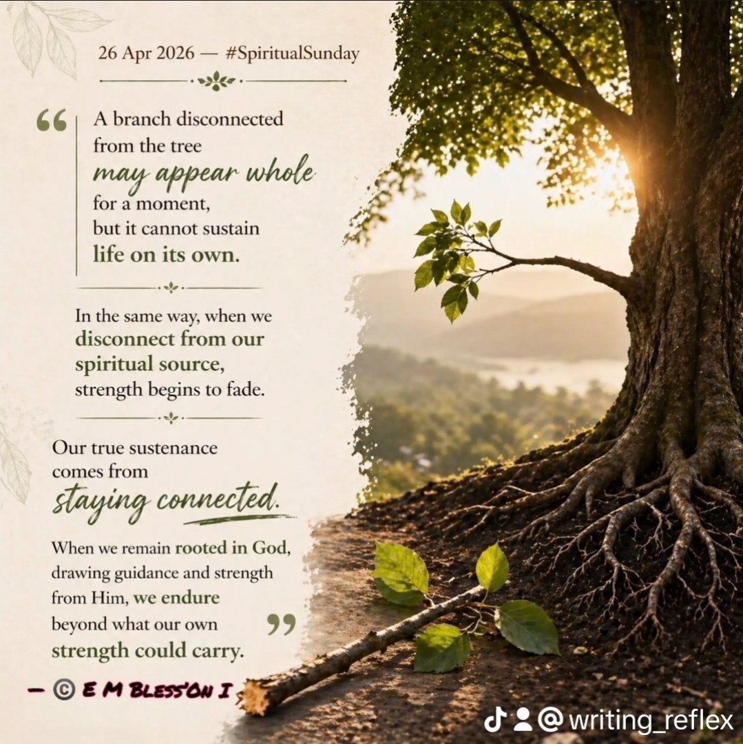 Writing_Reflex's tweet image. 26 Apr 2026 — #SpiritualSunday  
“A branch disconnected from the tree may appear whole for a moment, but it cannot sustain life on its own. In the same way, when we disconnect from our spiritual source, strength begins to fade.  
Our true sustenance comes from staying... 1/3